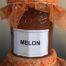 Confinatures Confitures Artisanales Thionville Melon